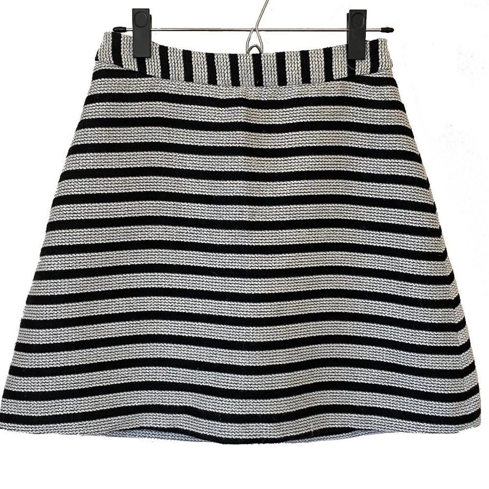 Black and White Striped Express A-Line Skirt